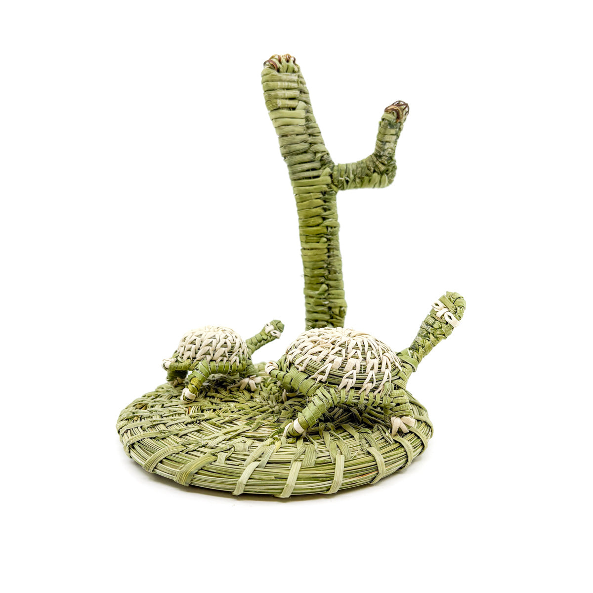Mama and Baby Desert Tortoise with Saguaro - Basket Sculpture by Fred Cruz