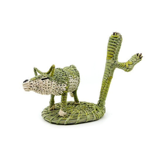 Sniffing Coyote with Saguaro Basket Sculpture by Fred Cruz