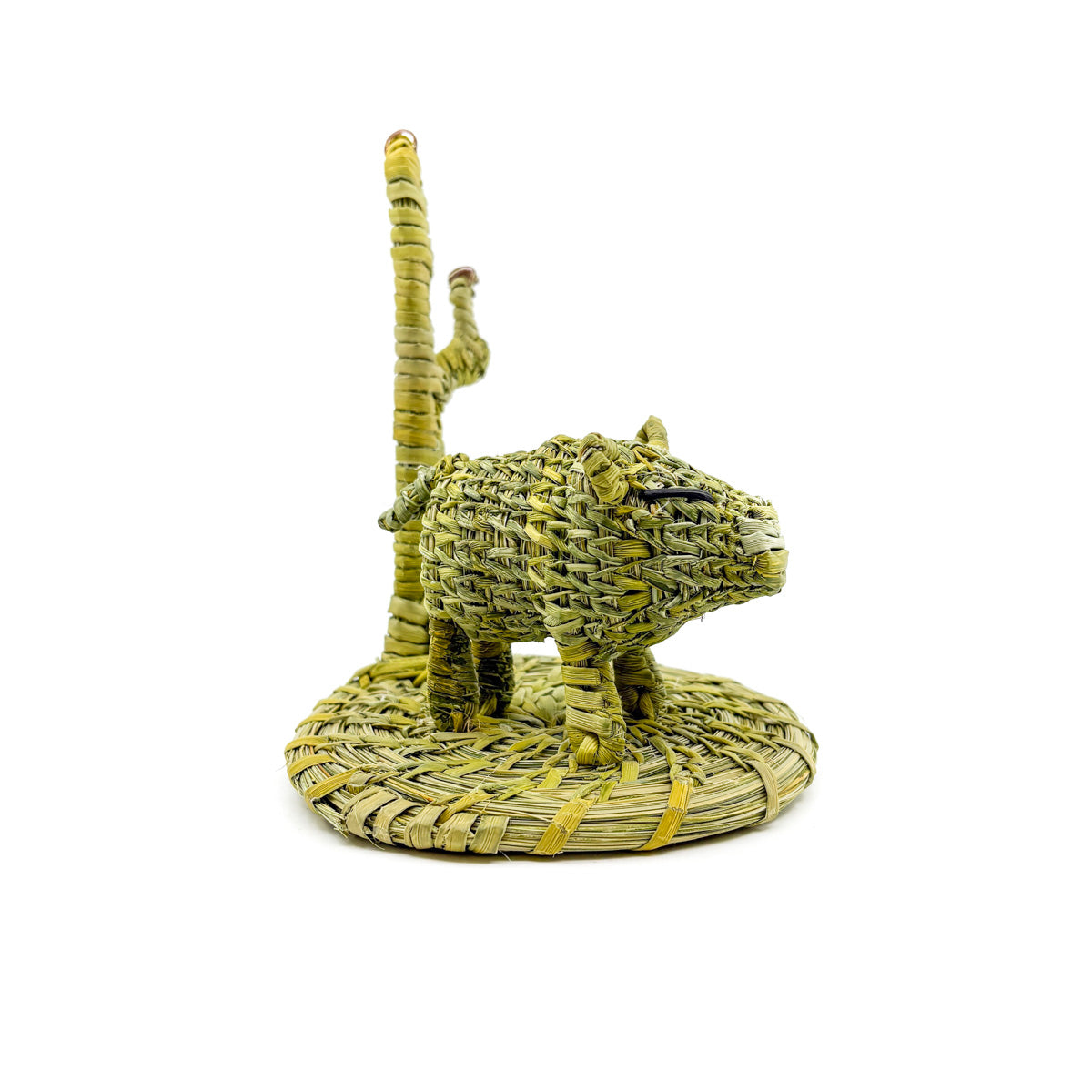 Desert Javelina Woven Sculpture by Fred Cruz