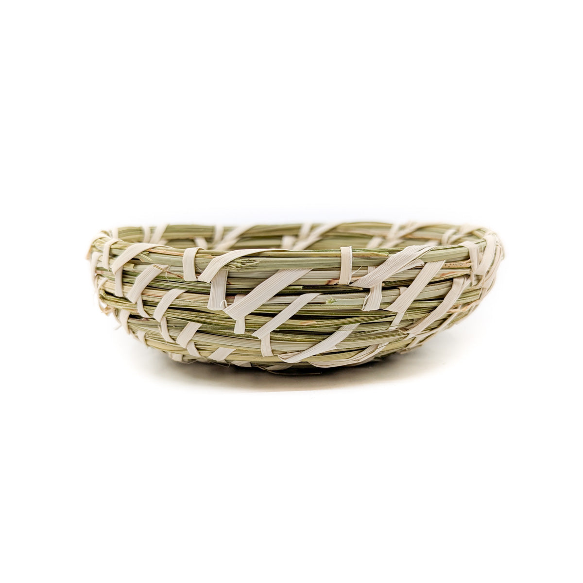 Coiled Basket with Yucca and Beargrass