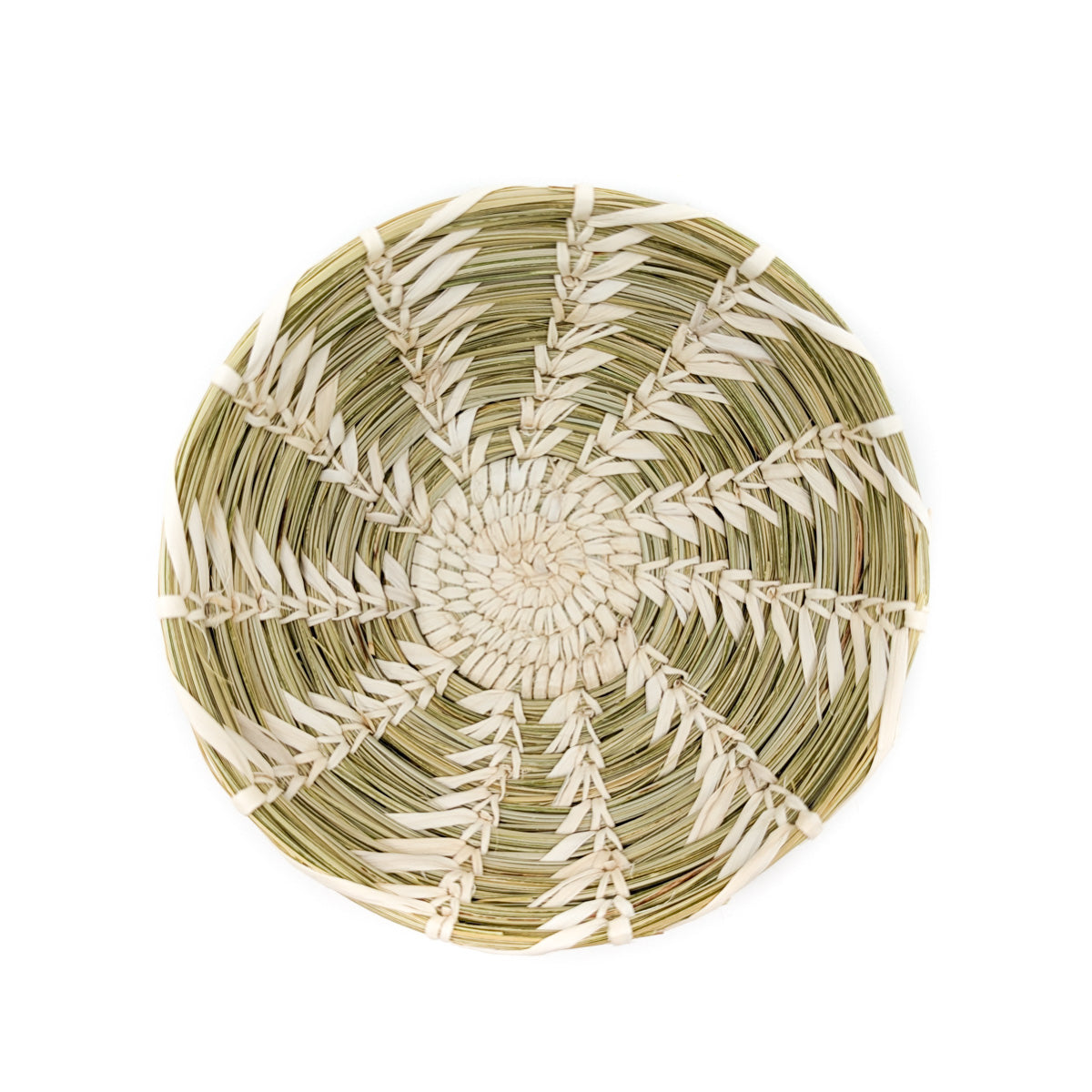 Coiled Yucca and Beargrass Basket