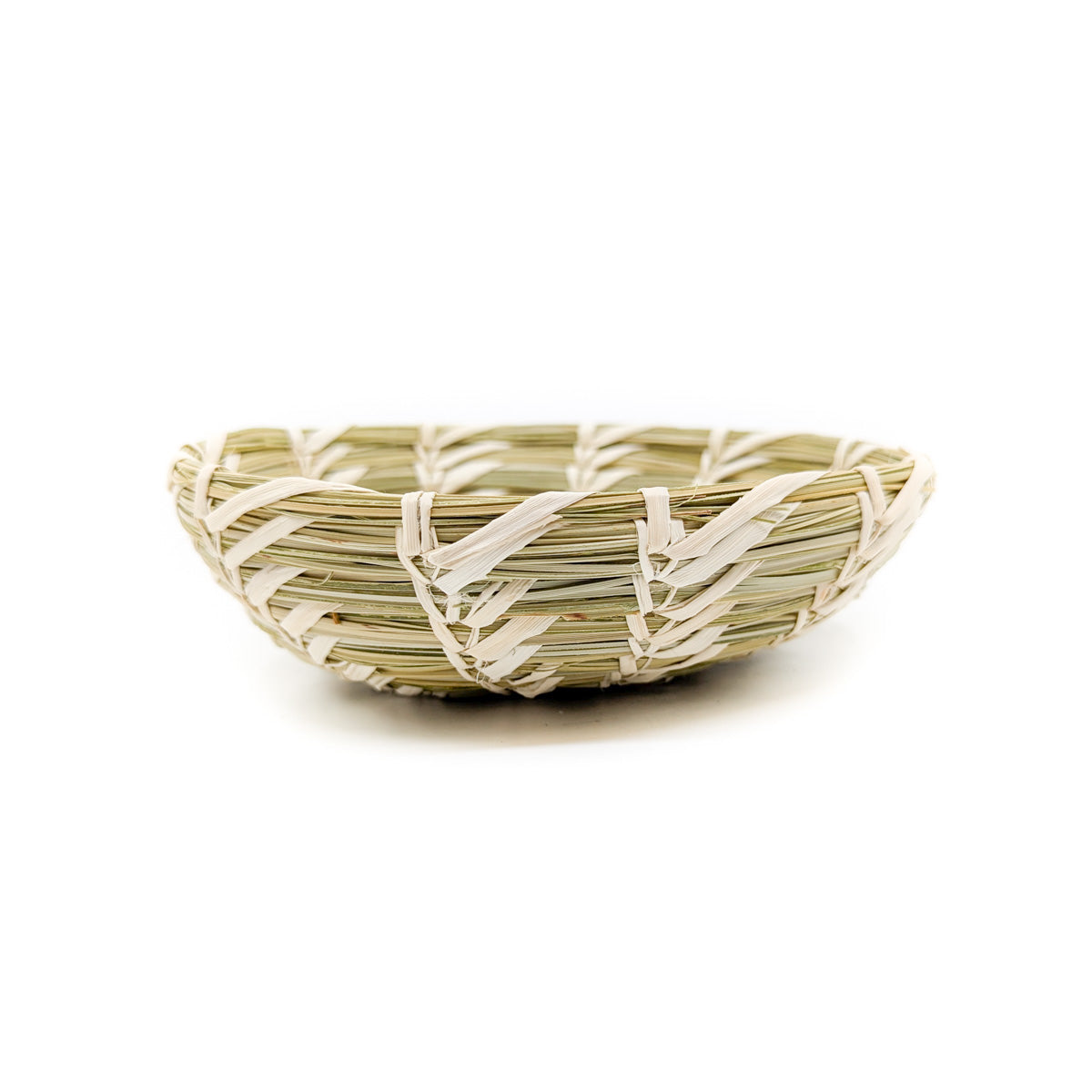 Coiled Yucca and Beargrass Basket