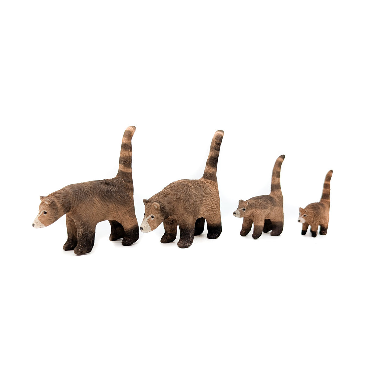 Coatimundi Family