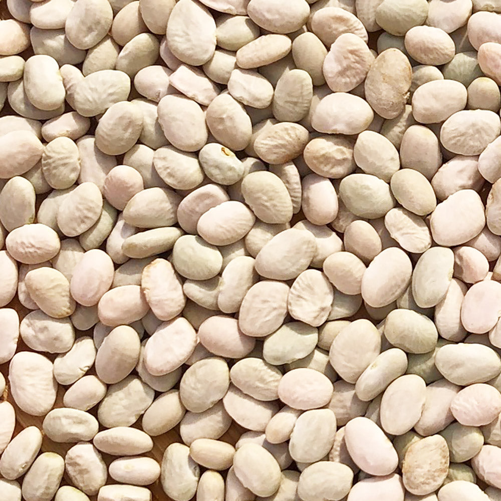 Cocopah White