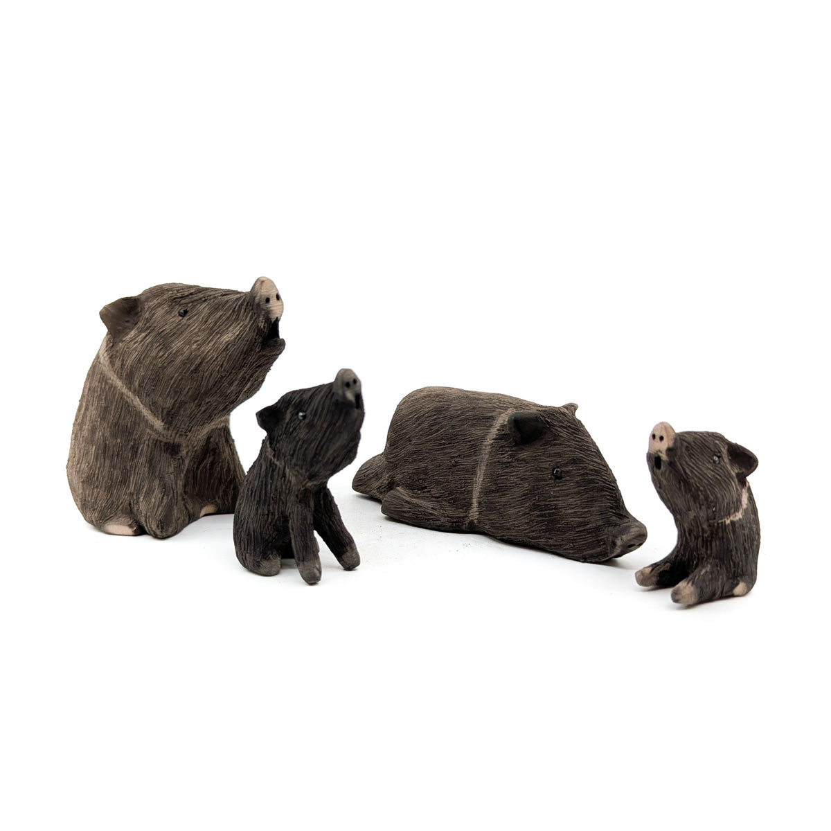 Javelina Family