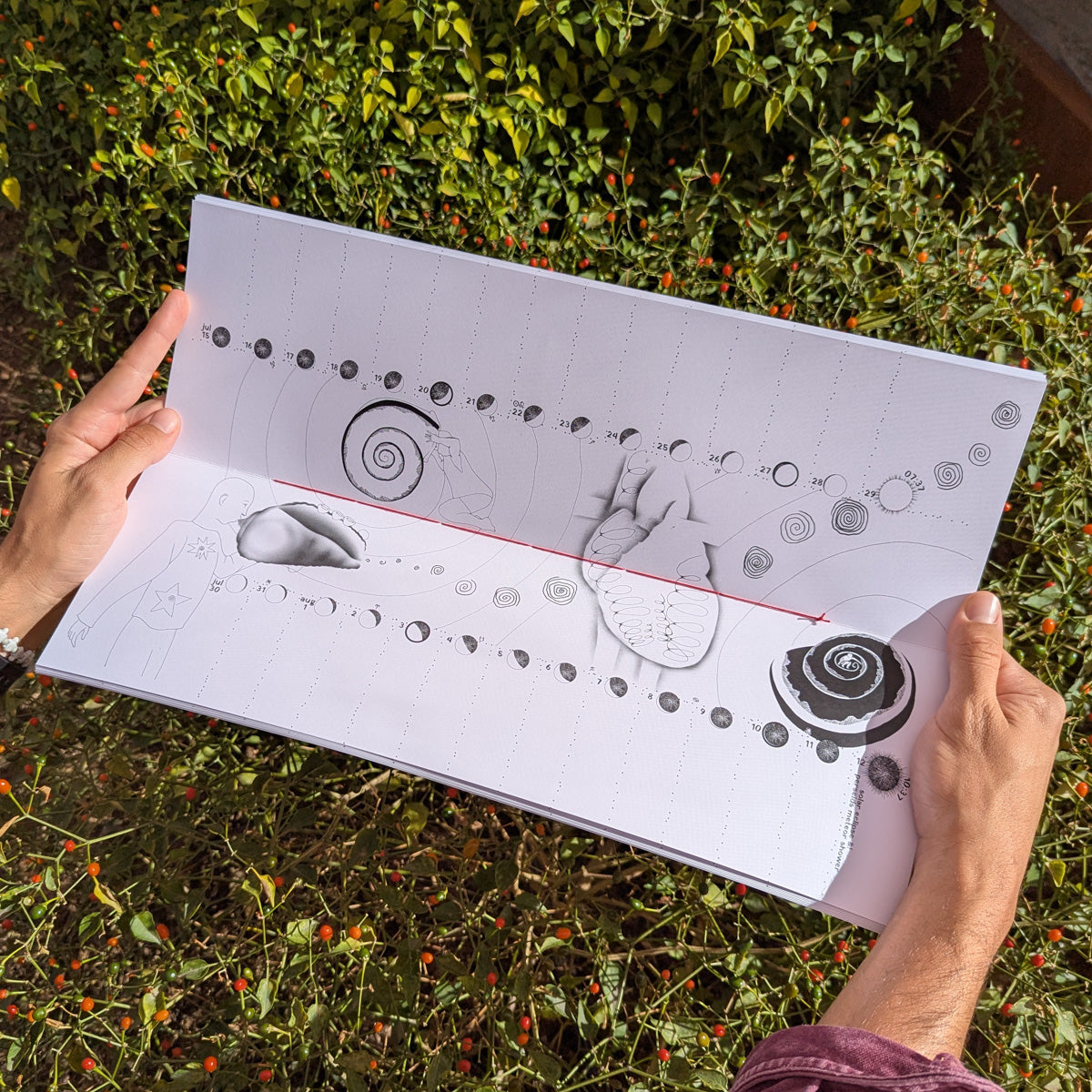 Lunar Tracker Calendar - 2026 Limited Edition