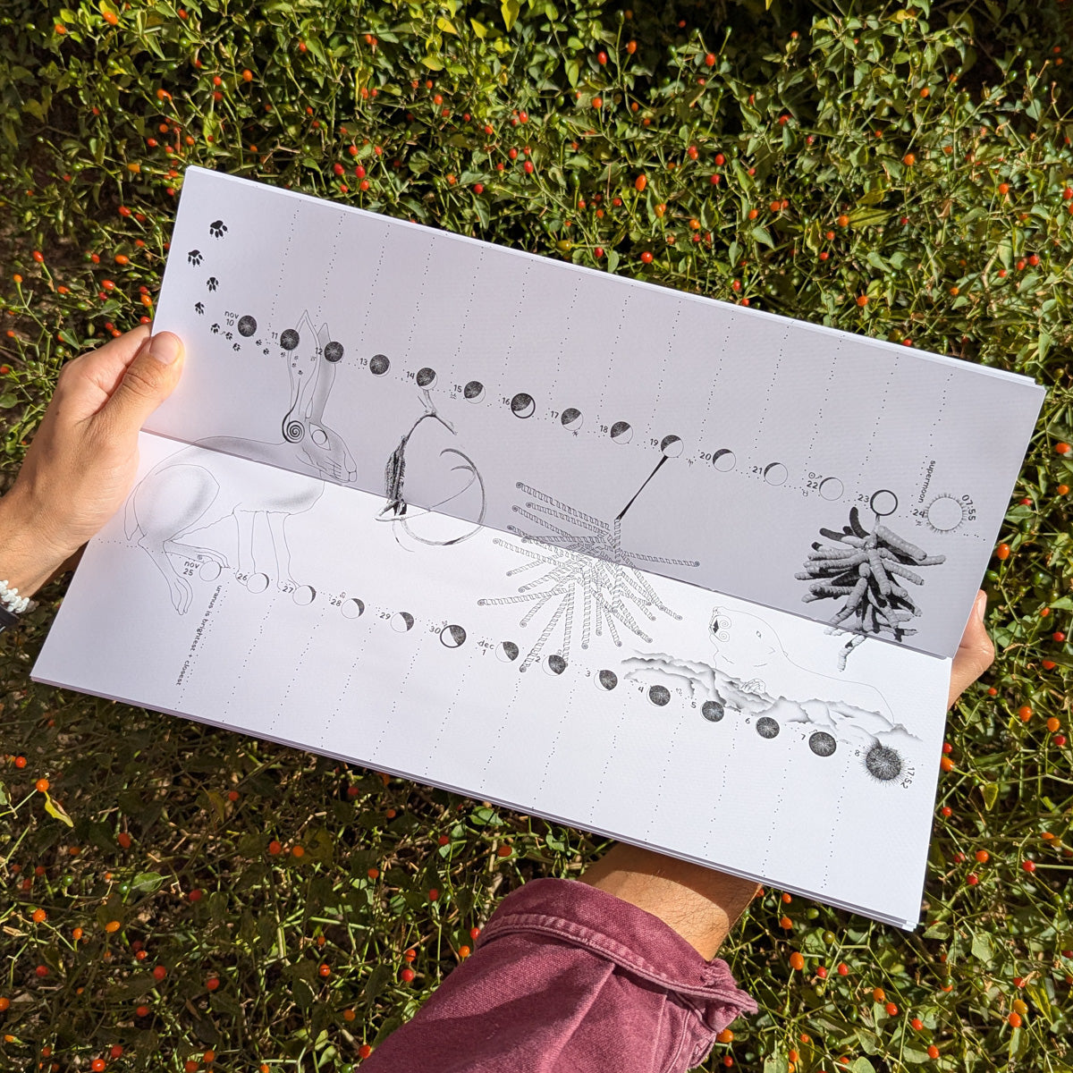 Lunar Tracker Calendar - 2026 Limited Edition