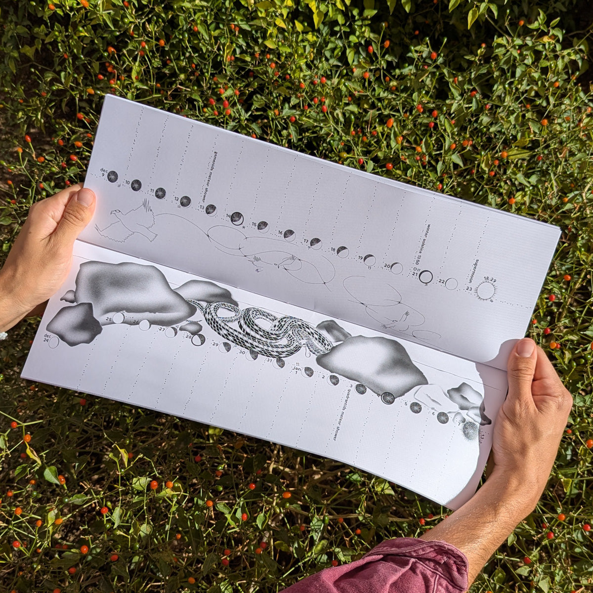 Lunar Tracker Calendar - 2026 Limited Edition