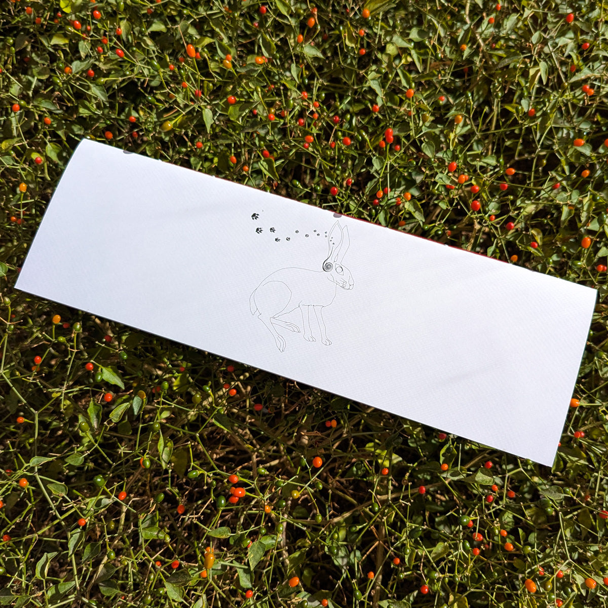 Lunar Tracker Calendar - 2026 Limited Edition