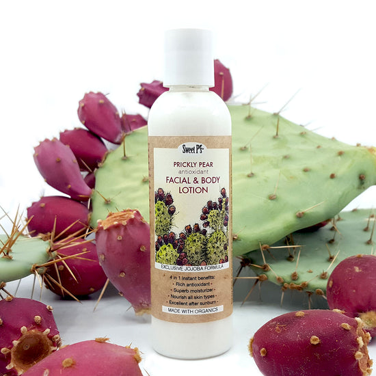 prickly pear cactus fruit health benefits Prickly Pear Antioxidant Face & Body Lotion (4 oz.) – Native-Seeds-Search