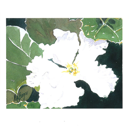 "Santo Domingo Striped Gourd Flower" - Card by Flor De Mayo Arts