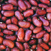 Taos Red Bean