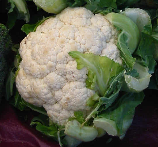 early snowball cauliflower