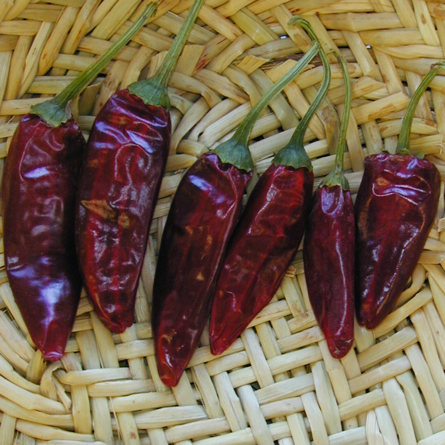 smooth red chile with medium hot flavor