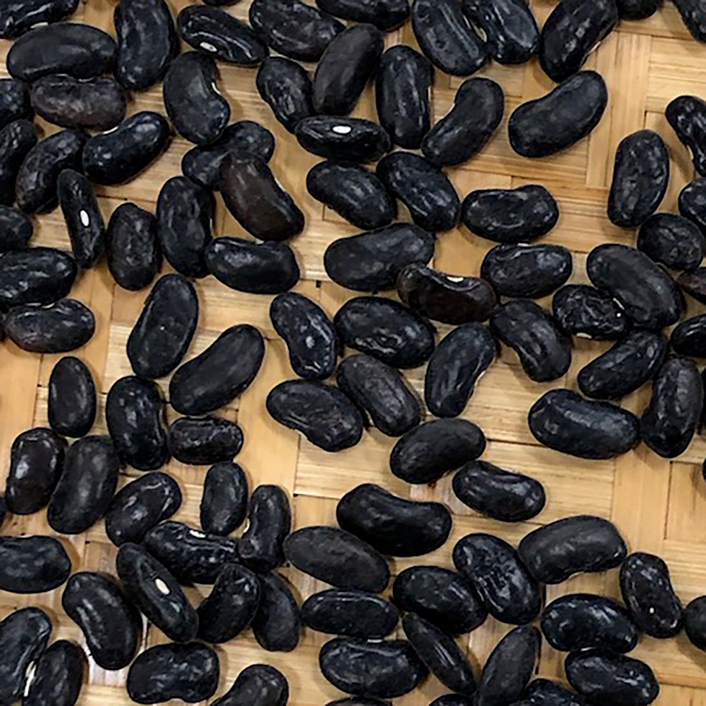 String Bea Seeds String Beans Seeds