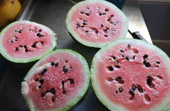 Native Watermelon Seeds > Watermelons – Native-Seeds-Search