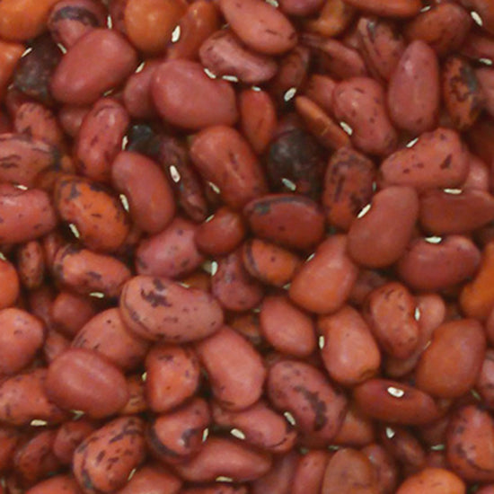 Hopi red lima beans. grow well in high and low desert. this is a pole bean