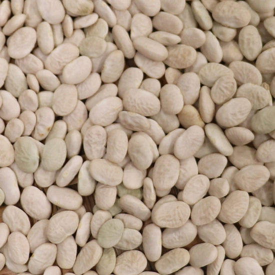 kickapoo white tepary beans