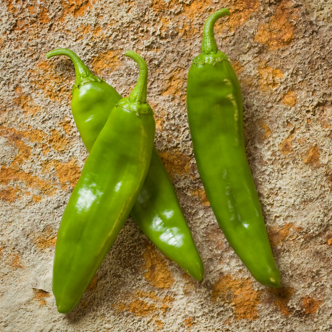 Seeds > Chiles/Peppers – Native-Seeds-Search