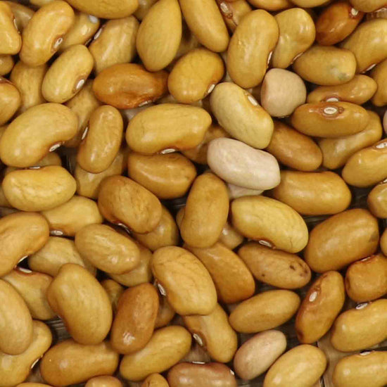 amarillo del norte beans