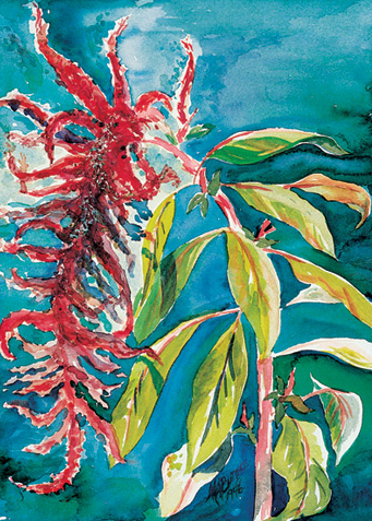 Load image into Gallery viewer, &amp;quot;Hopi Red Amaranth&amp;quot; - Card by Flor De Mayo Arts
