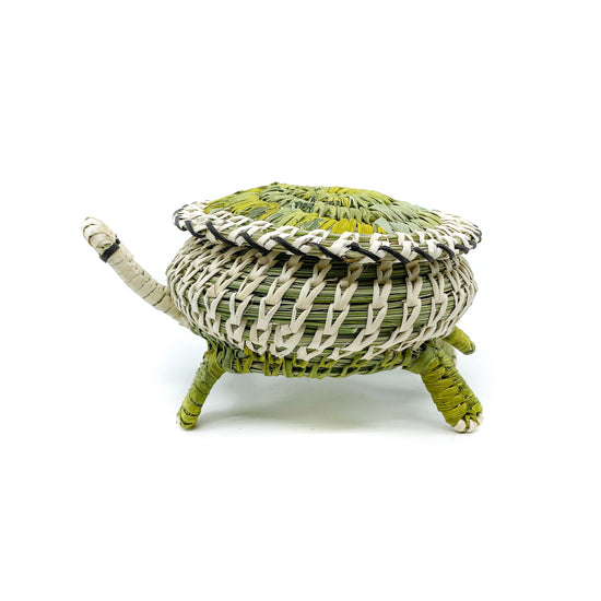 Lidded Large Desert Tortoise Sculptural Basket