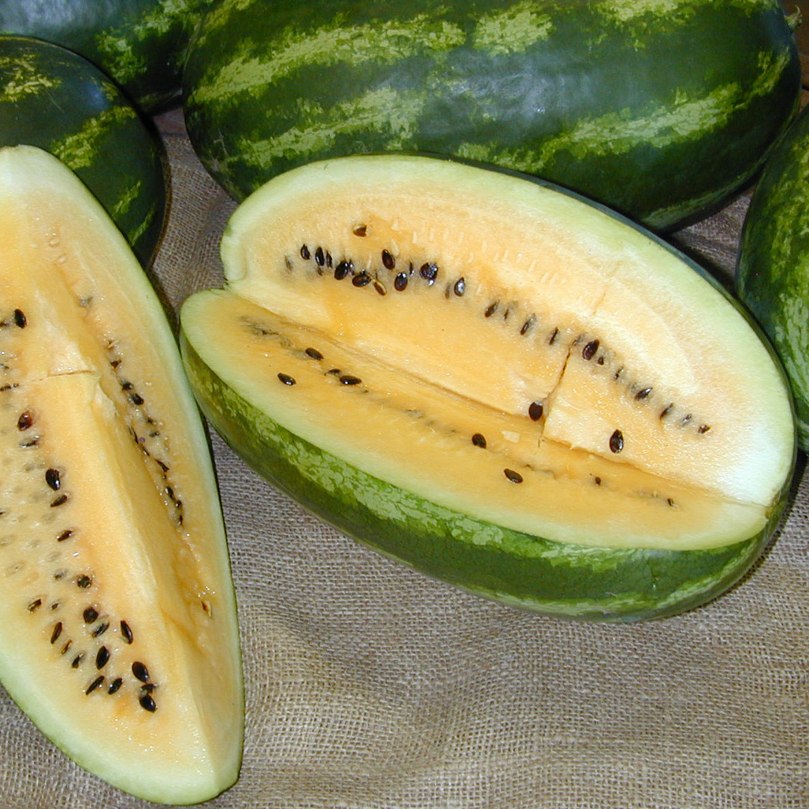 Native Watermelon Seeds > Watermelons – Native-Seeds-Search