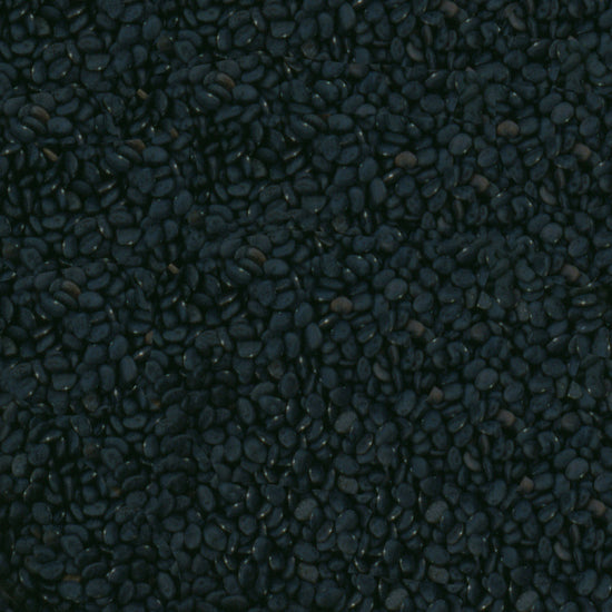 Load image into Gallery viewer, Tepary Beans, Black - Ancient Superfood  Available in 24 oz. or 5 lb. Bag
