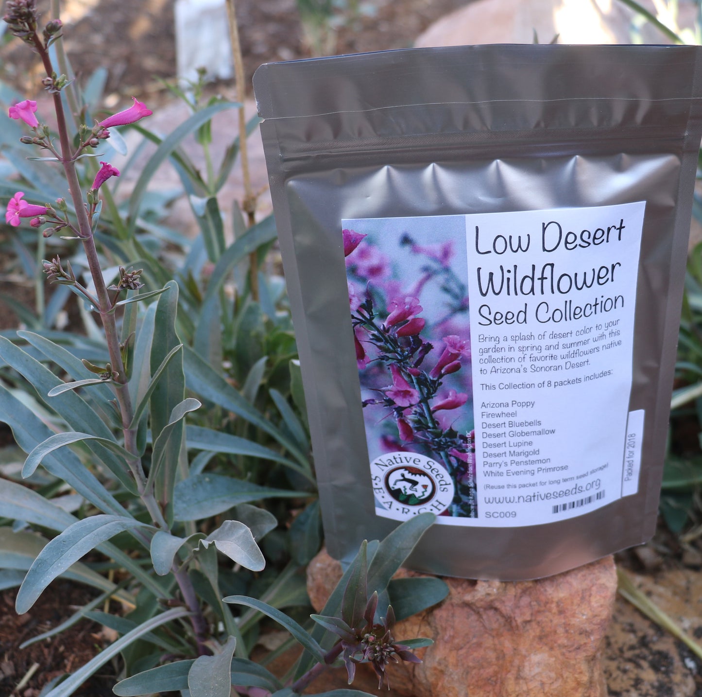 Low Desert Wildflower Garden Collection