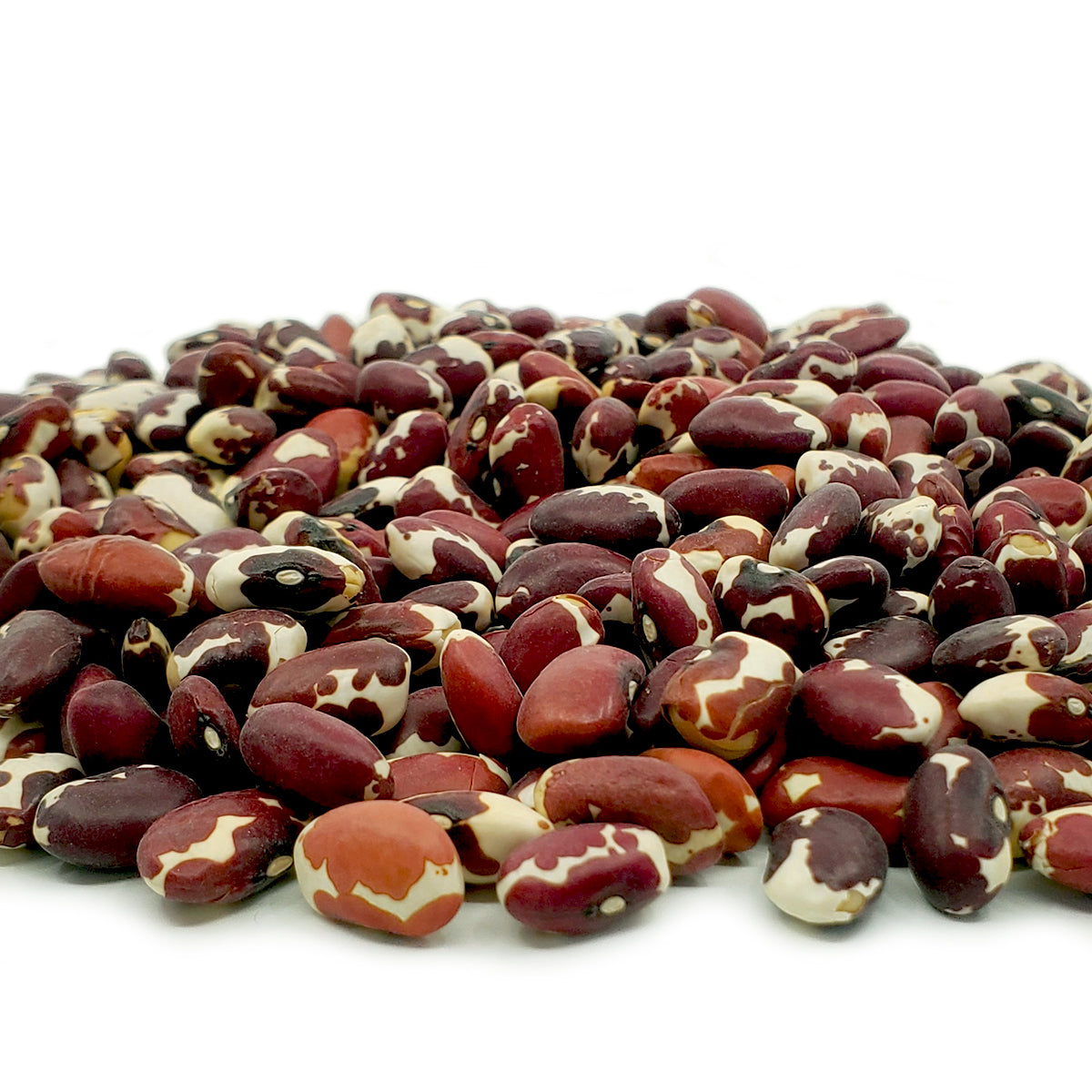Food > Beans – Native-Seeds-Search
