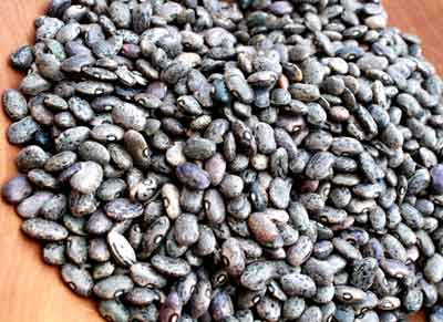 Moro Beans