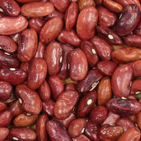 Taos Red Bean