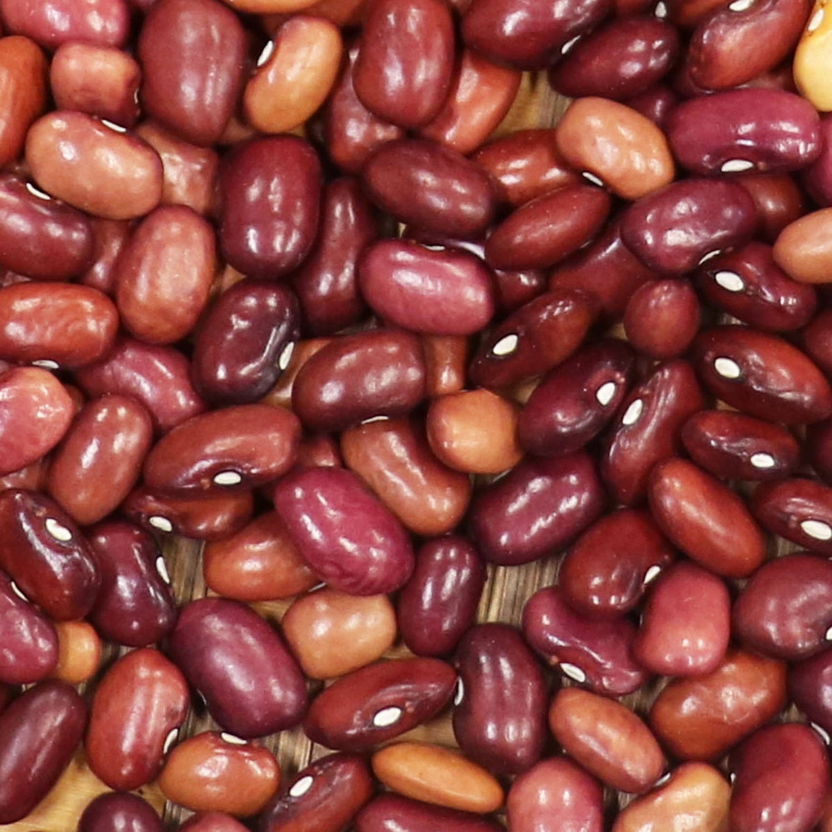 Mountain Pima Plum – Native-Seeds-Search