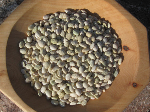 Organic White Tepary Beans - Heirloom, Non-GMO